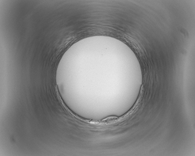 X0000115300041200912141125