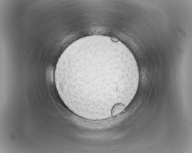 X0000115300042200912141125