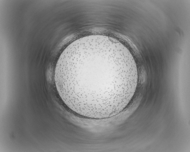 X0000115300044200912141125