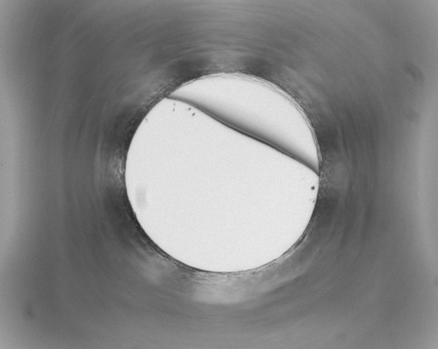 X0000115300045200912141125