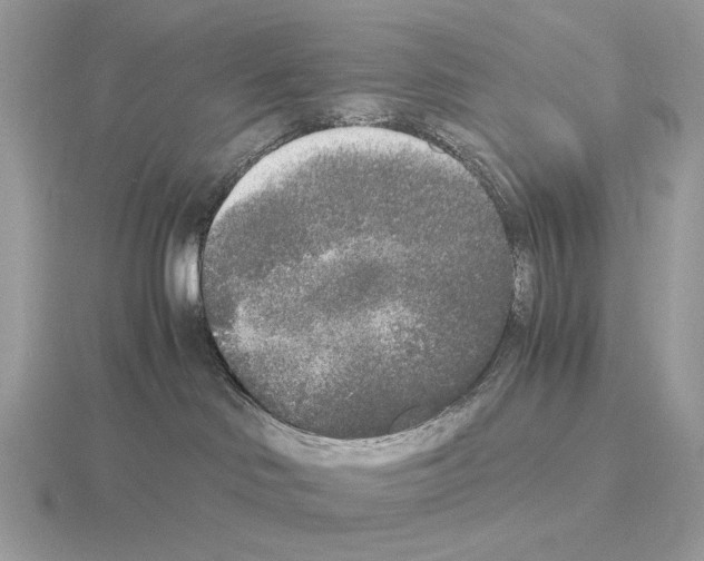 X0000115300046200912141125