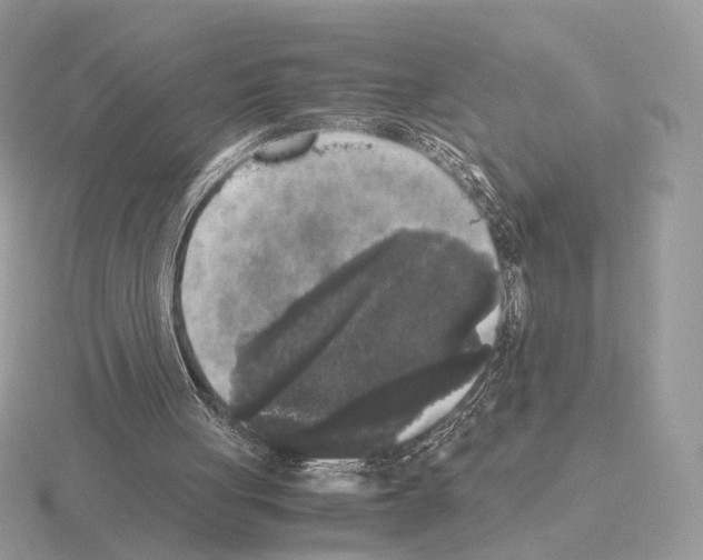 X0000115300051200912141125