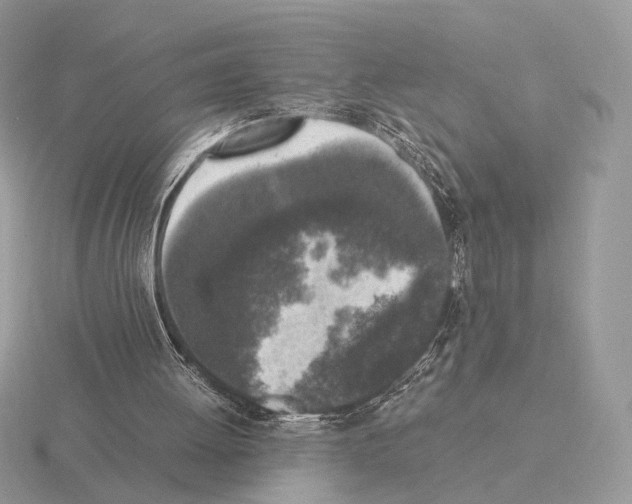 X0000115300052200912141125