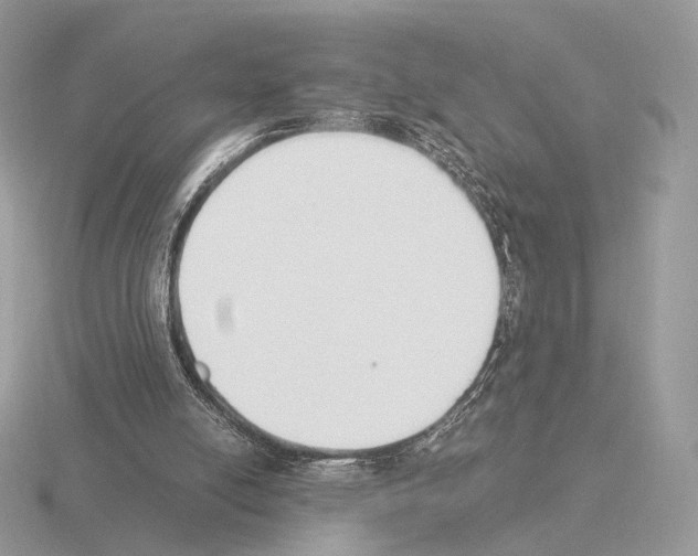 X0000115300054200912141125