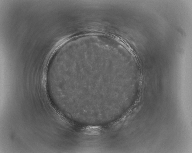 X0000115300055200912141125