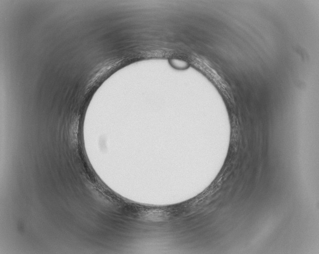 X0000115300058200912141125