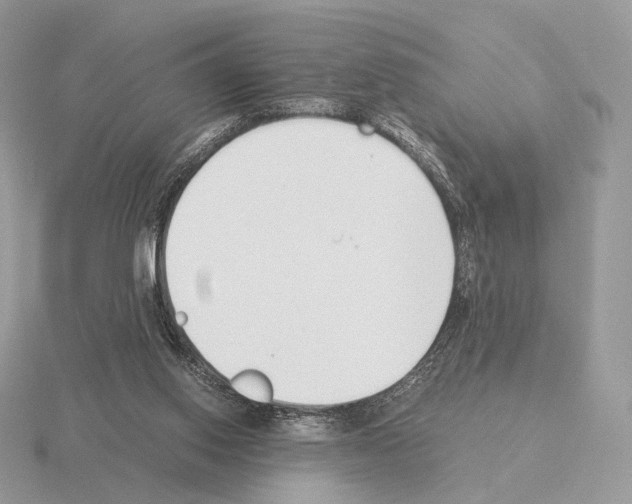 X0000115300062200912141125