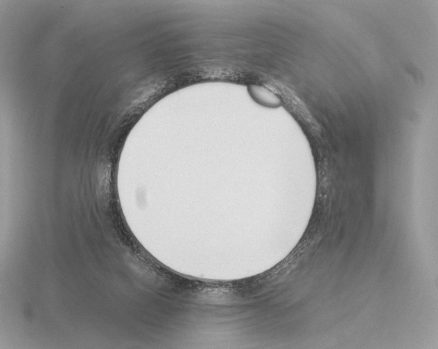 X0000115300066200912141125