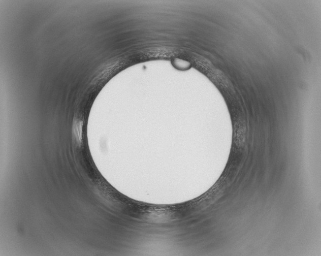 X0000115300070200912141125