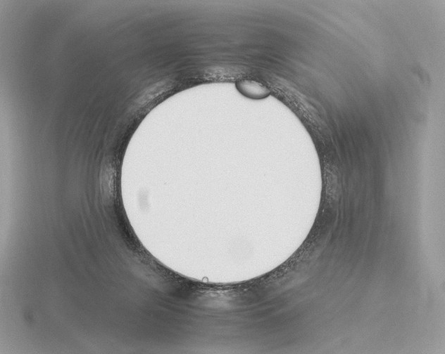X0000115300071200912141125