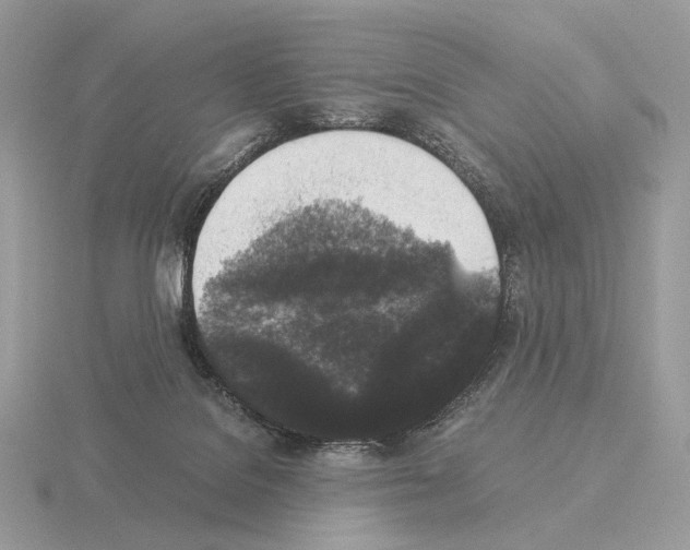X0000115300076200912141125