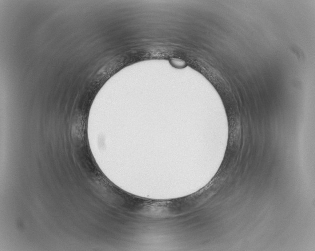 X0000115300078200912141125