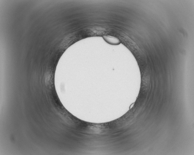 X0000115300079200912141125
