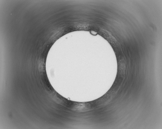 X0000115300083200912141125