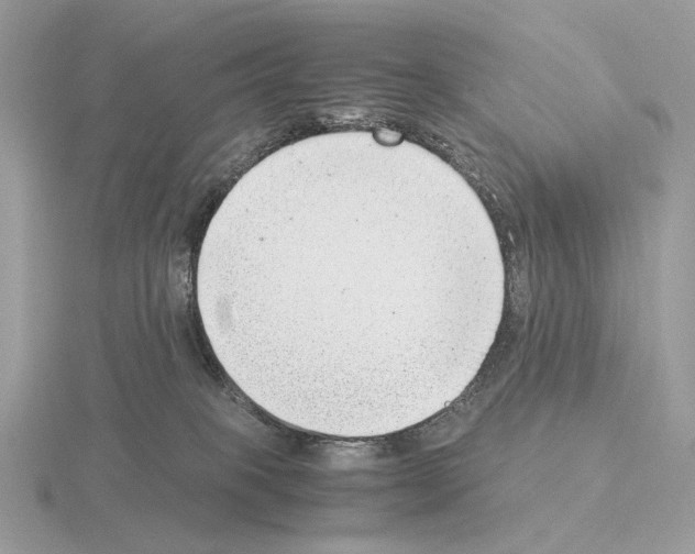 X0000115300085200912141125