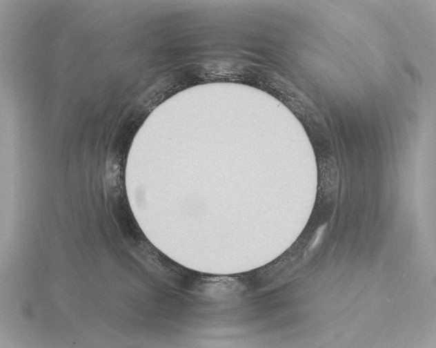 X0000115300087200912141125