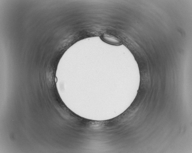 X0000115300088200912141125
