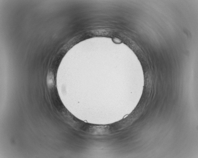 X0000115300089200912141125