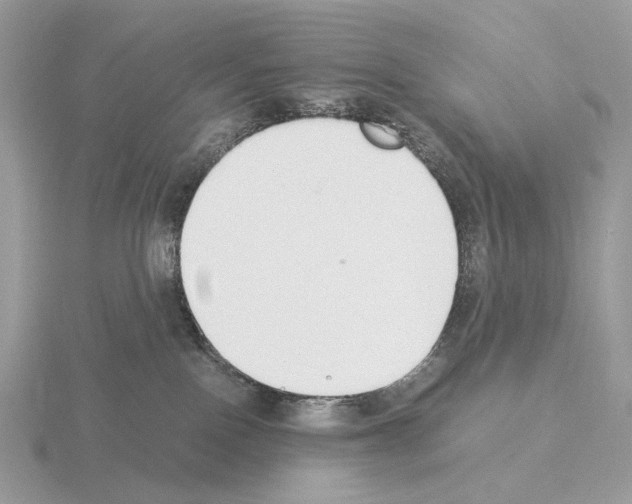 X0000115300090200912141125