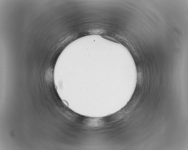 X0000115300093200912141125