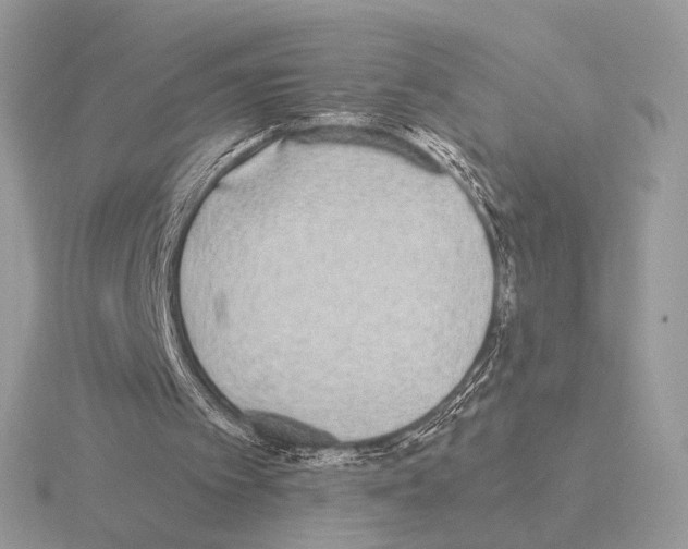 X0000115300097200912141124