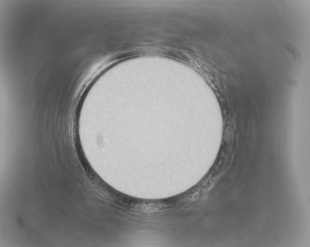 X0000115300103200912141124