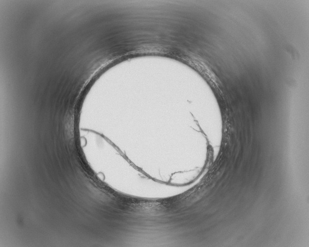 X0000115300108200912141124