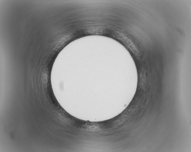 X0000115300113200912141124