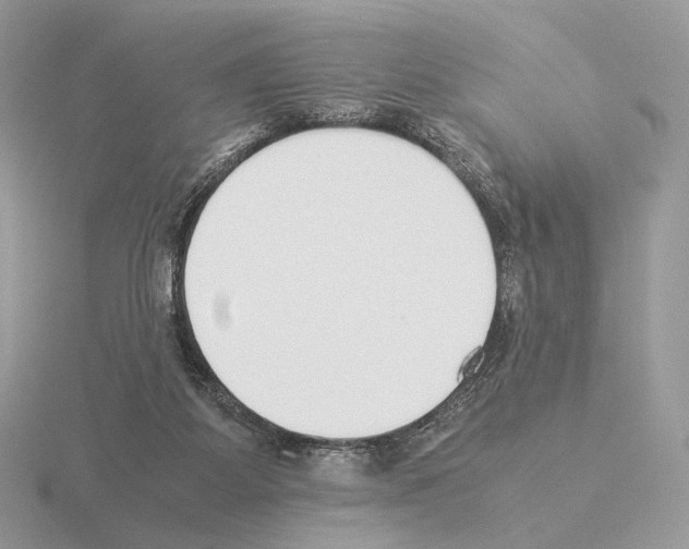 X0000115300115200912141124