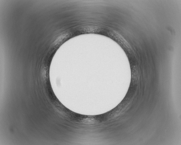 X0000115300119200912141124