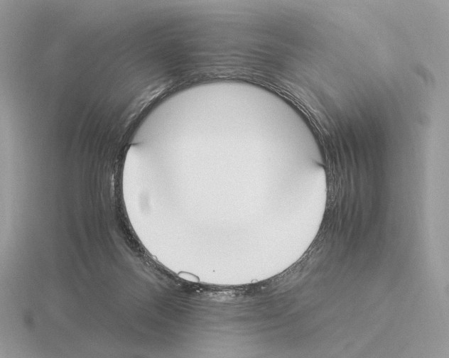 X0000115300120200912141124