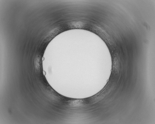 X0000115300122200912141124