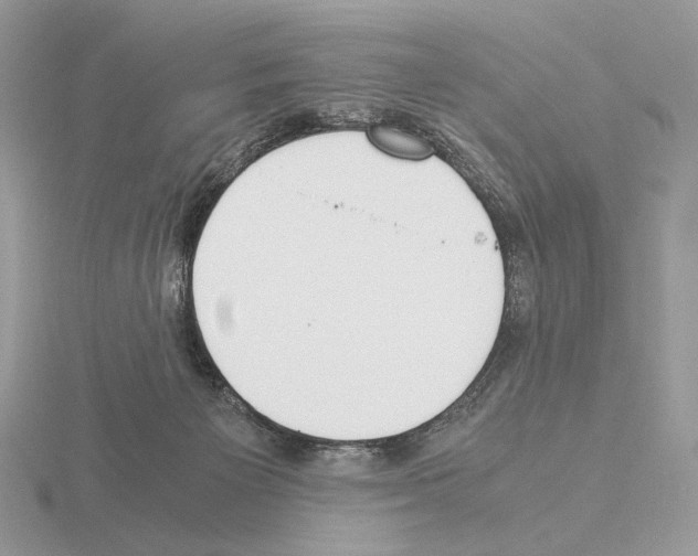 X0000115300125200912141124