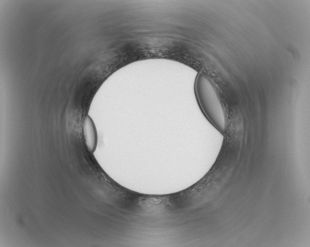 X0000115300129200912141124