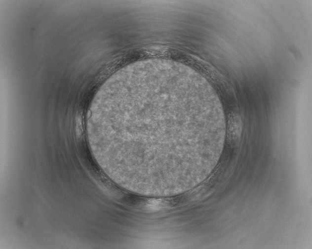 X0000115300130200912141124