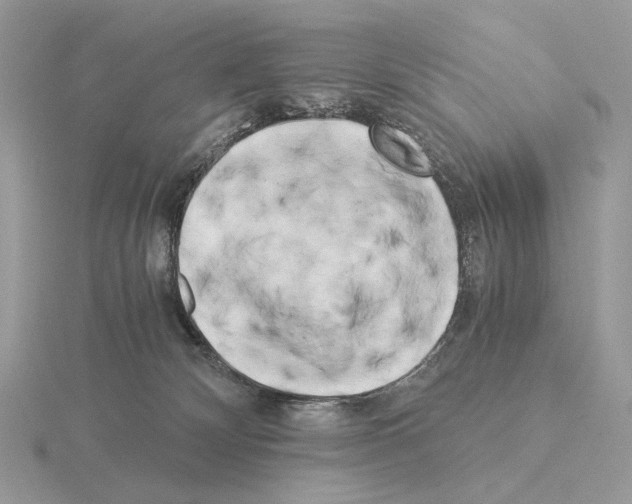 X0000115300132200912141124
