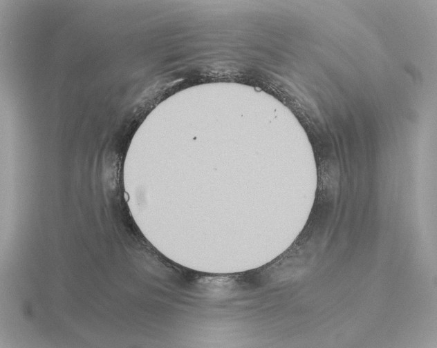X0000115300133200912141124