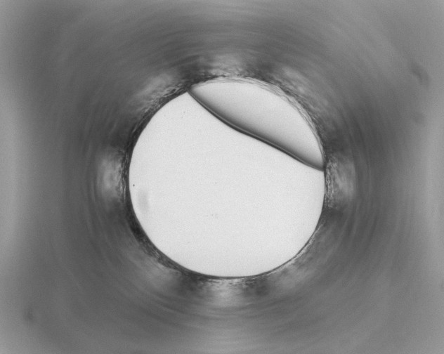 X0000115300136200912141124