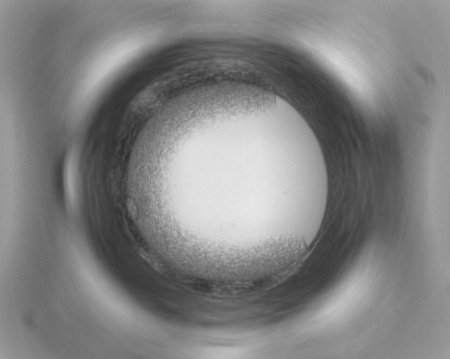X0000115300140200912141124