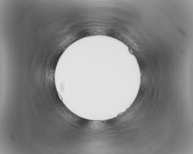 X0000115300141200912141124
