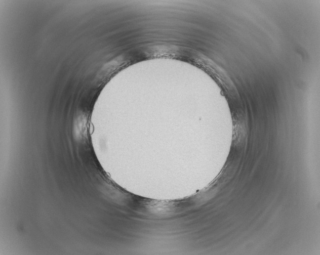 X0000115300142200912141124