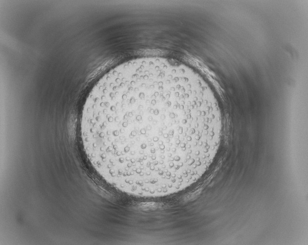 X0000115300153200912141123
