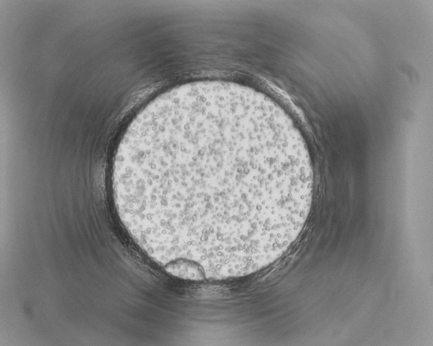 X0000115300154200912141123