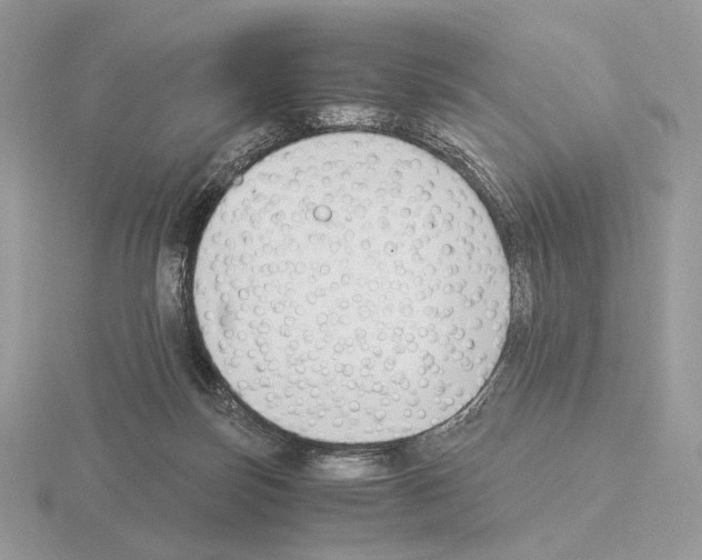 X0000115300171200912141124