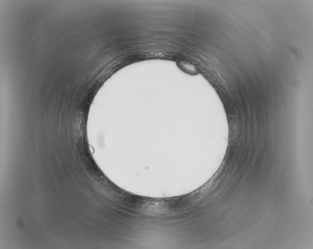 X0000115300174200912141124