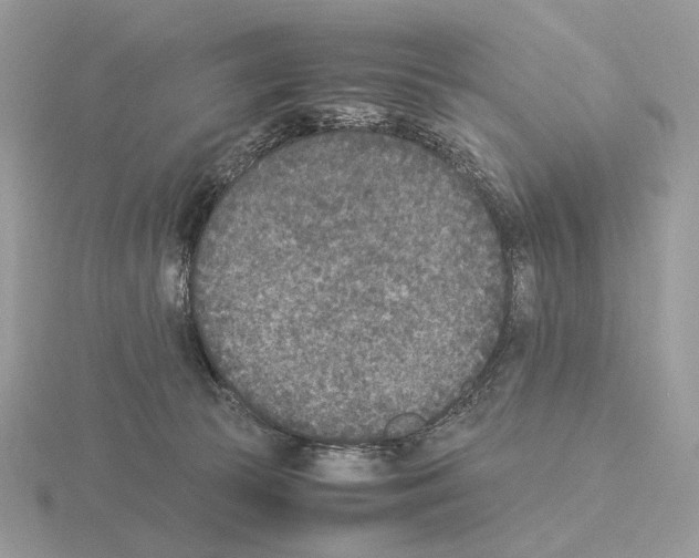 X0000115300177200912141124