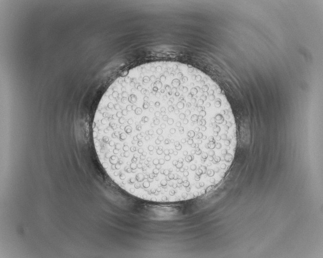 X0000115300183200912141124