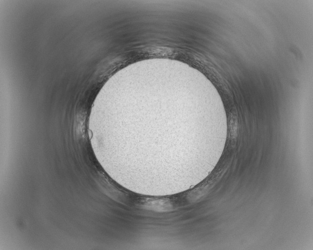 X0000115300185200912141124