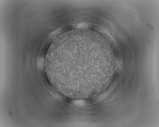 X0000115300189200912141124