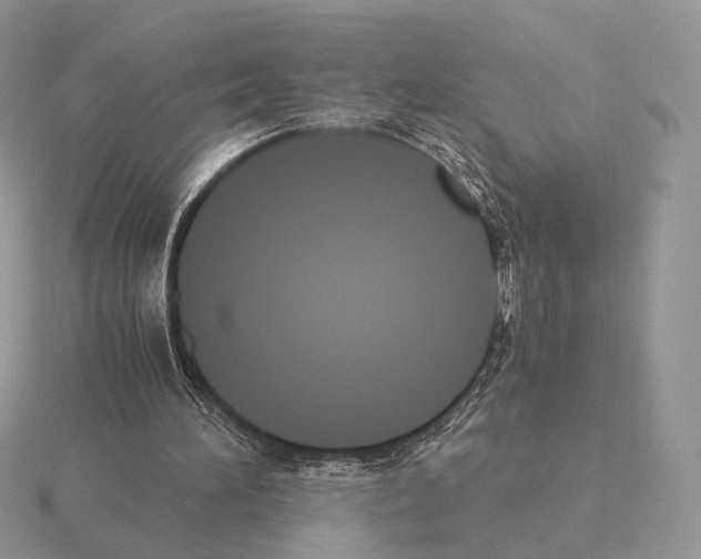 X0000115300196200912141123